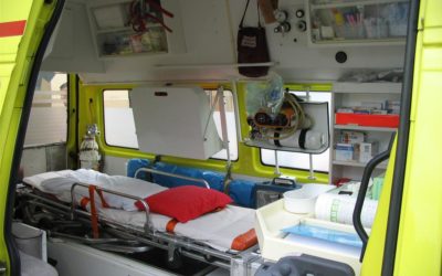U Heřmanovic 23letého může zavalil strom, na místě zemřel