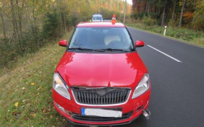 Divoké prase vběhlo vozidlu do jízdní dráhy