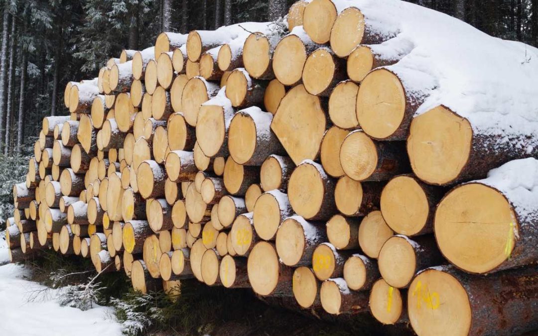 Palivové dřevo a uhlí se krade napříč okresy Opava, Bruntál a Nový Jičín