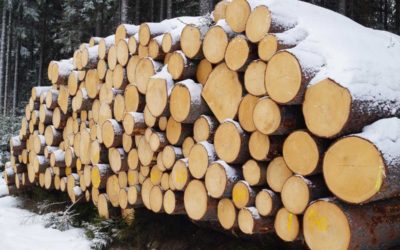 Palivové dřevo a uhlí se krade napříč okresy Opava, Bruntál a Nový Jičín