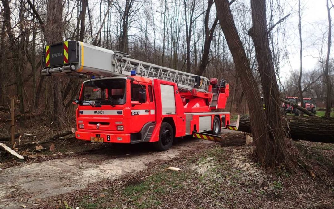 Moravskoslezští hasiči odstraňovali stromy i během pondělního dopoledne