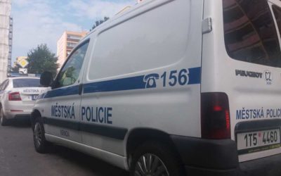 Přítelkyně uštědřila opilému muži několik pohlavků