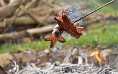 Na území Moravskoslezského kraje platí zákaz rozdělávání ohňů, kvůli dlouhotrvajícímu suchu