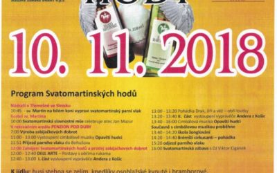 Vydejte se parním vlakem na Svatomartinské hody do Bohušova