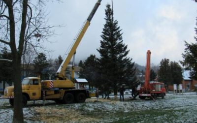 Vrbno pod Pradědem už má svůj vánoční strom