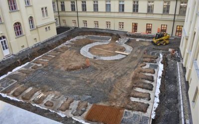 Oprava atria Petrina není nejsnadnější