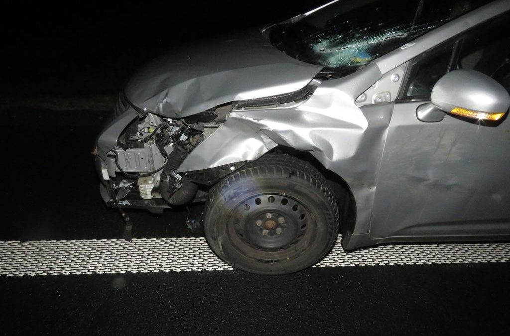 Jelen skočil řidiči do cesty