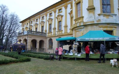 Vánoční jarmark na zámku v Linhartovech se těšil velkému zájmu kupujících