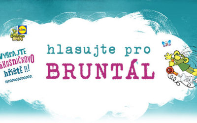 Hlasujte pro nové dětské hřiště v Bruntále