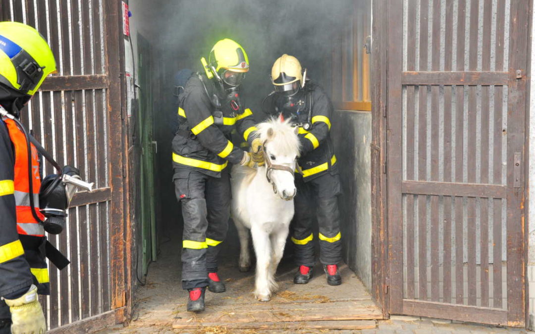 Cvičení hasičů: Zachraňovali koně, v budově se vznítilo uskladněné seno