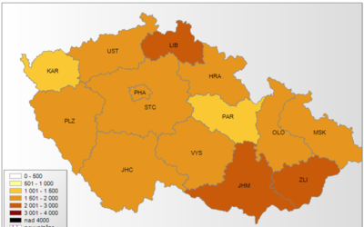 V ČR přetrvává plošná chřipková epidemie