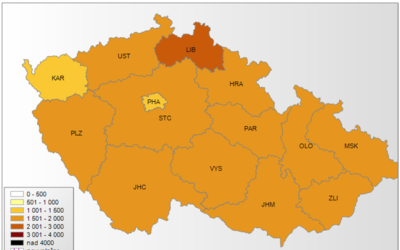 V ČR stále přetrvává plošná chřipková epidemie