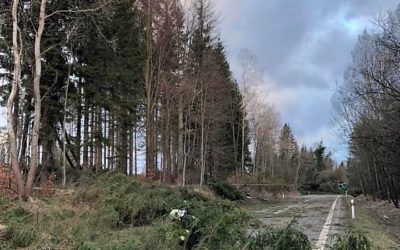 Moravskoslezští hasiči měli téměř čtyři stovky výjezdů kvůli silnému větru