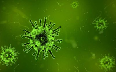Moravskoslezský kraj zasáhla epidemie spalniček, nejvíce u malých dětí