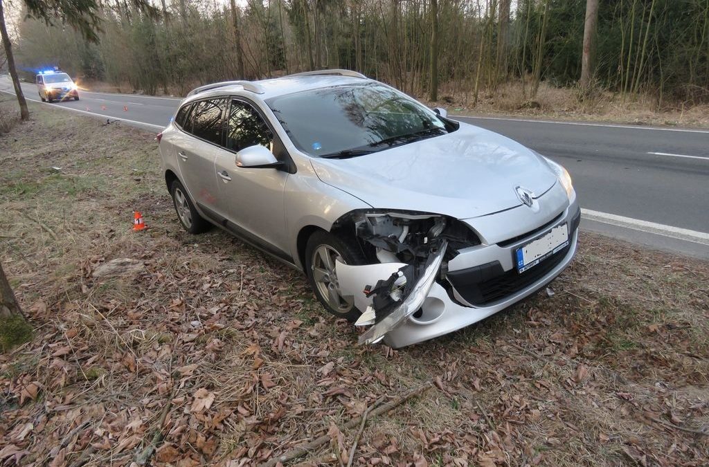 Srna vběhla pod auto, náraz nepřežila