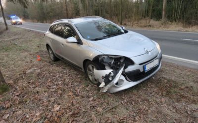 Srna vběhla pod auto, náraz nepřežila