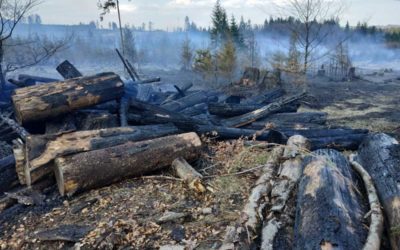 Na Rýmařovsku hořelo 5 hektarů lesního porostu