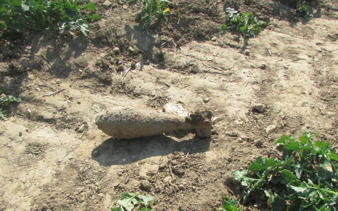 Ve Slezských Rudolticích našla žena při procházce se psem dělostřeleckou minu