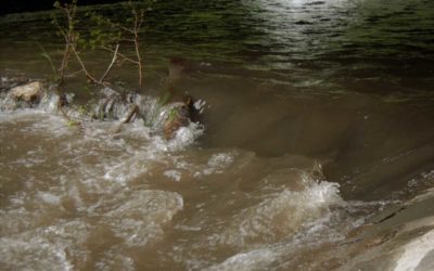 V Moravskoslezském kraji stoupají hladiny řek