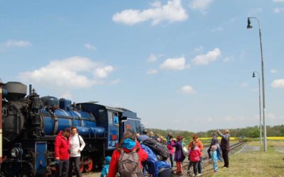 Kvůli koronaviru se po šesti letech ocitl cestovní ruch v regionu v červených číslech