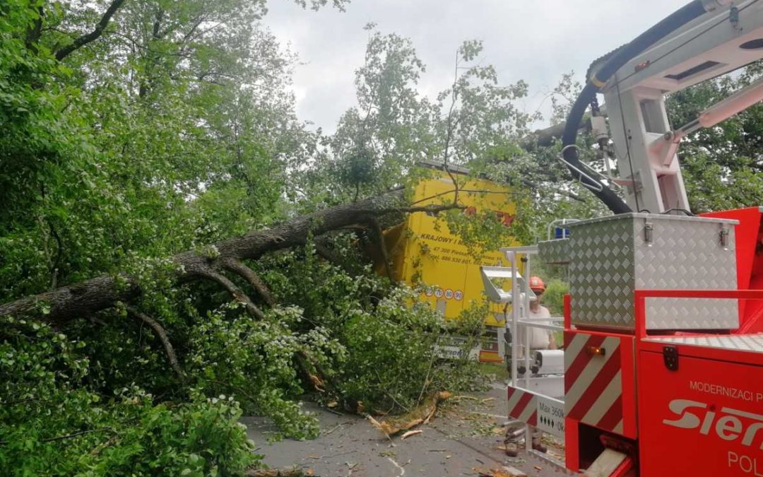 U Bruntálu na polský kamion spadly tři stromy