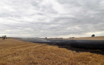 Šest hasičských jednotek likvidovalo požár strniště podél železniční trati v Horních Povelicích