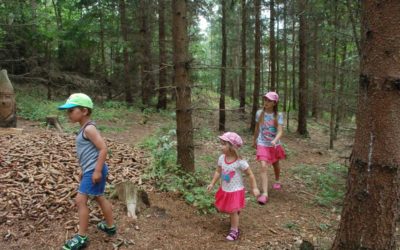Naučná stezka děti provede pohádkovým lesem až ke Krtečkově studánce