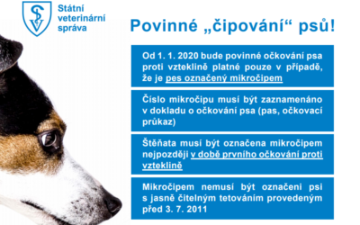 SVS připomíná chovatelům povinnost nechat čipovat své psy do konce roku