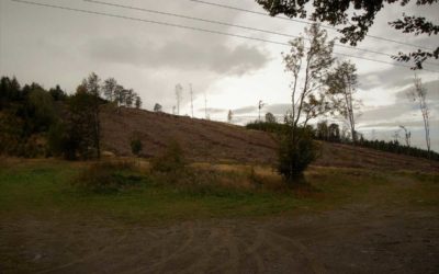Moravskoslezský kraj přispěje obcím na opravu cest poškozených kvůli kůrovci
