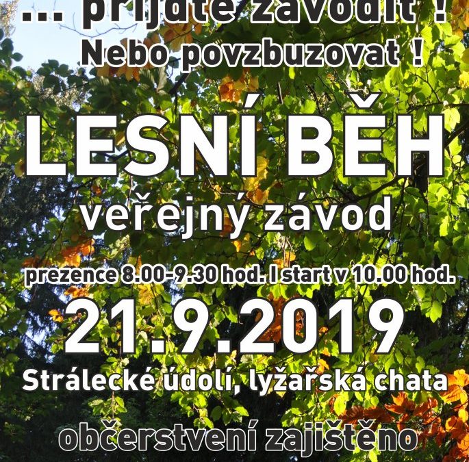 V Rýmařově pořádají Lesní běh ve Stráleckém údolí