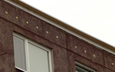 Zateplovali budovy a zničili hnízda rorýse obecného, padly tři pokuty za 250 tisíc korun