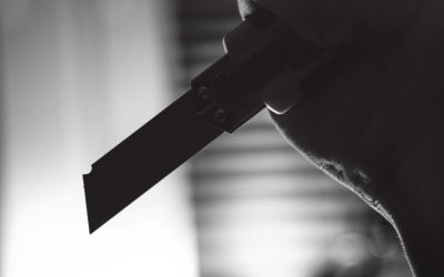 Vláda posílí ochranu škol, úřadů a veřejných prostranství před útočníky