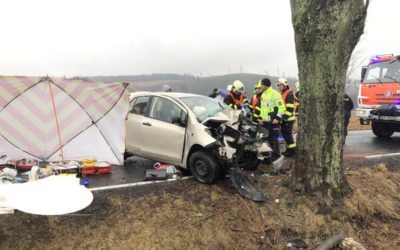 Dopravní nehodu u Rýmařova nepřežilo dítě, pro další dvě děti letěl vrtulník