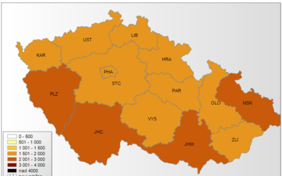V ČR přetrvává plošná chřipková epidemie