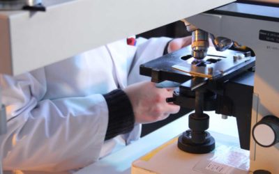 Ministerstvo vnitra má připraveno 150 milionů korun na výzkumné projekty