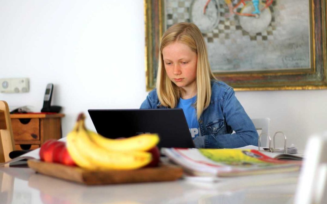 Výuka na dálku ukázala v době pandemie své výhody i nevýhody