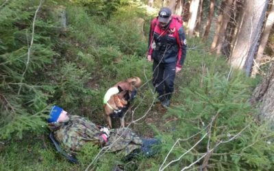 Muž se ztratil v nepřehledném terénu mezi Pradědem a hotelem Figura, nalezl jej zkušený služební pes
