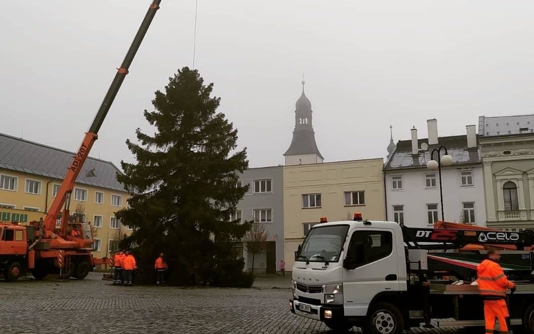 Náměstí Míru v Rýmařově ozdobil sedmdesát let starý smrk