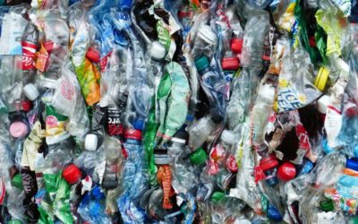 ČR nastupuje trend: od skládkování ke třídění, recyklaci a materiálovému využití na maximum