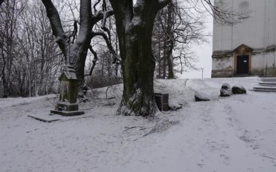 Lipová alej na Uhlířský vrch je poškozena