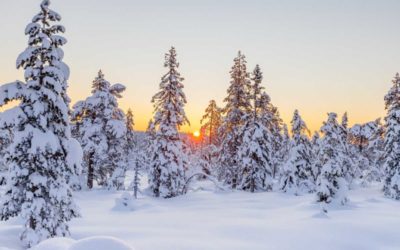 Meteorologové varují před mrazivou nocí