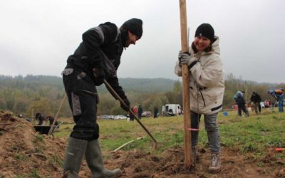 Genofondový sad Krnovska a Osoblažska uspěl