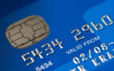 Placení poplatků za psa nebo svoz odpadu online. Ministerstvo vnitra spustilo projekt Platební brány pro veřejnou správu