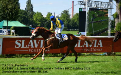 Velká pardubická klepe na dveře