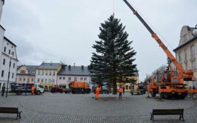 Vánoční strom v Rýmařově už stojí na svém místě