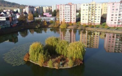 Vize: Odbahněný Kobylí rybník s novou promenádou