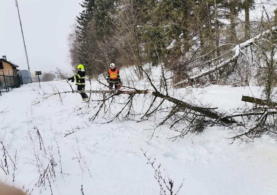 Hasiči z Andělské Hory vyjížděli ke spadlému stromu