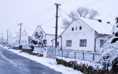Meteorologové varují: Noční mrazy mohou poškodit kvetoucí stromy
