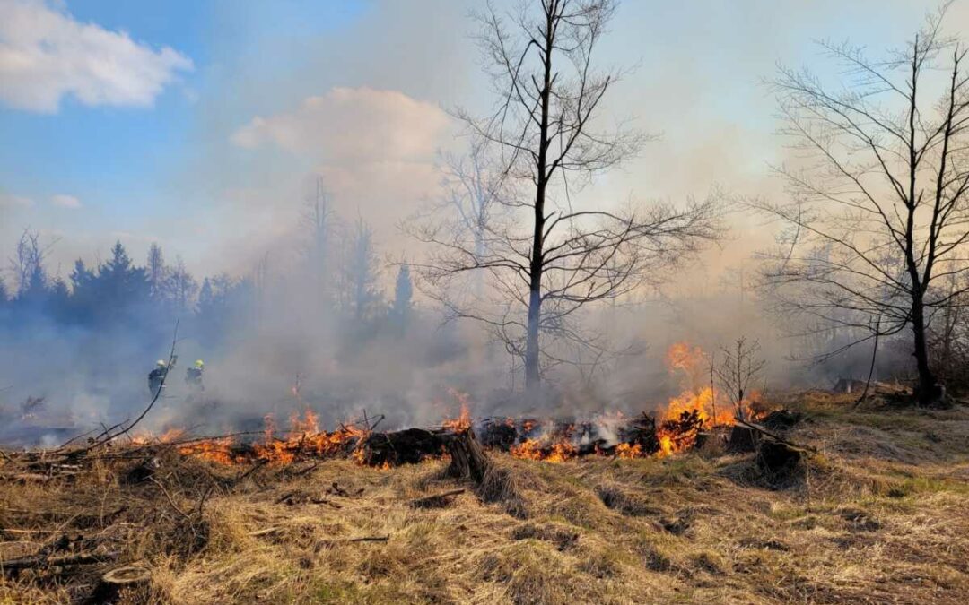 Druhý stupeň poplachu byl vyhlášen při požáru lesa v Dětřichově nad Bystřicí, s hašením pomáhal vrtulník