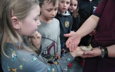 Děti z druhého ročníku se zúčastnily exkurze ve zvířatkovém světě Střediska volného času na Petrině
